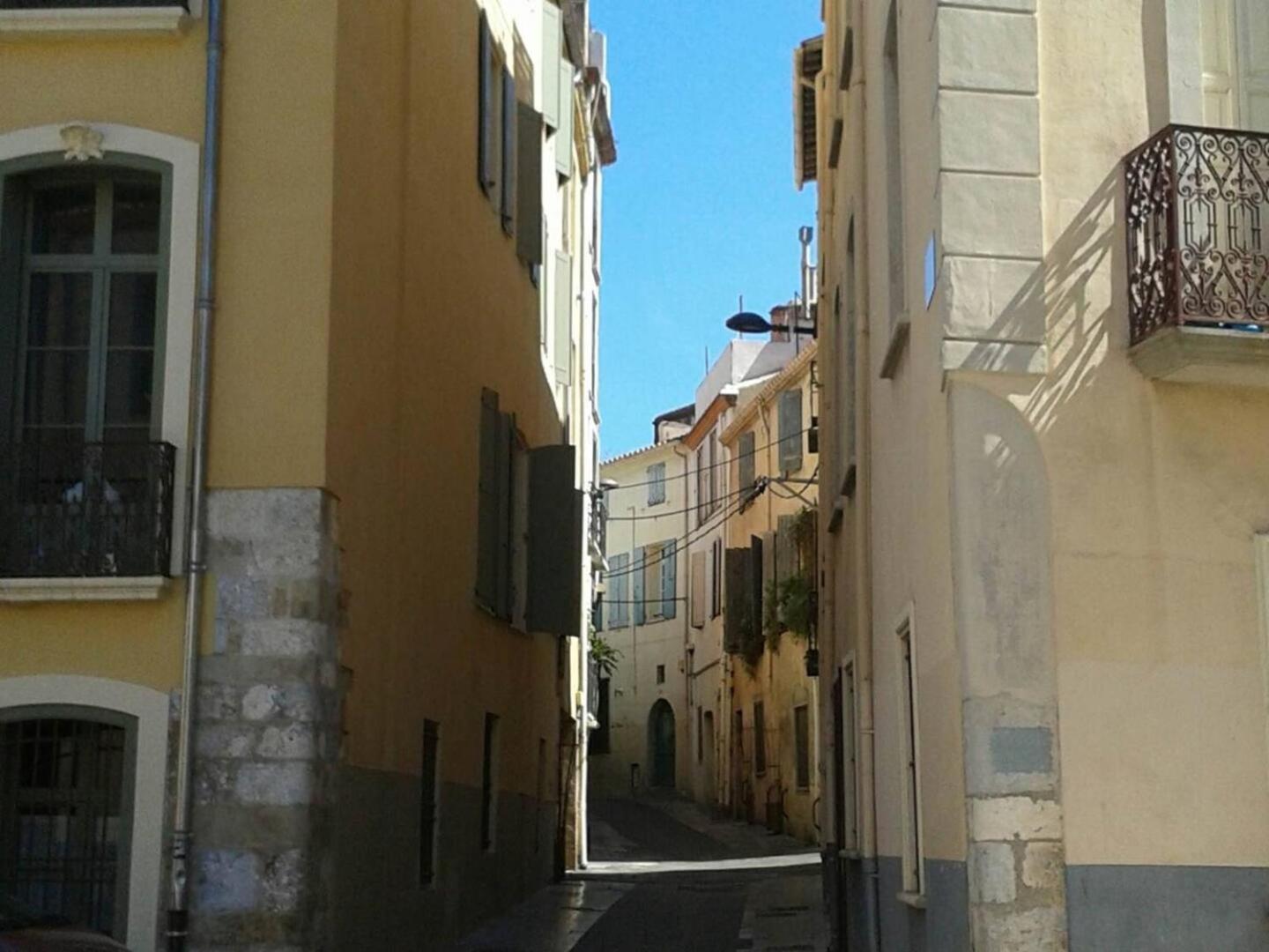 Appartement Saint-Sauveur بيربينيو المظهر الخارجي الصورة